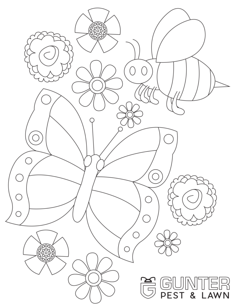 Bug Cutouts for your kids to print out and color from the Gunter Pest & Lawn Kids Corner.