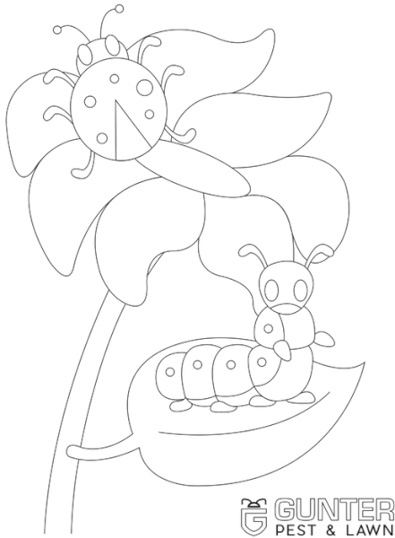 Ladybug and Caterpillar printable coloring page for kids.