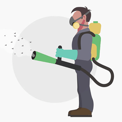 Contact A Professional Pest Control Service.