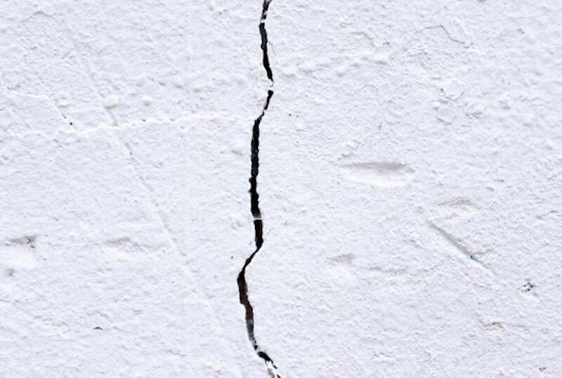 Pests affect commercial properties. Crack in wall.