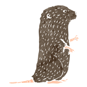 We don't treat voles, but they should be taken care of. How to Identify and Get Rid of Lawn Pests and Rodents.