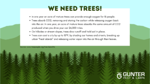Environmentally Friendly Pest Control Infographic