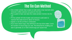 The tin can method to get a green lawn. When you learn how to identify and get rid of lawn pests it helps your green lawn.