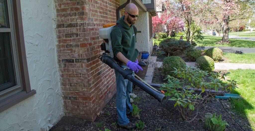 Kansas City Mosquito Control. This Is How To Keep Fleas, Ticks, And Mosquitoes Away This Summer