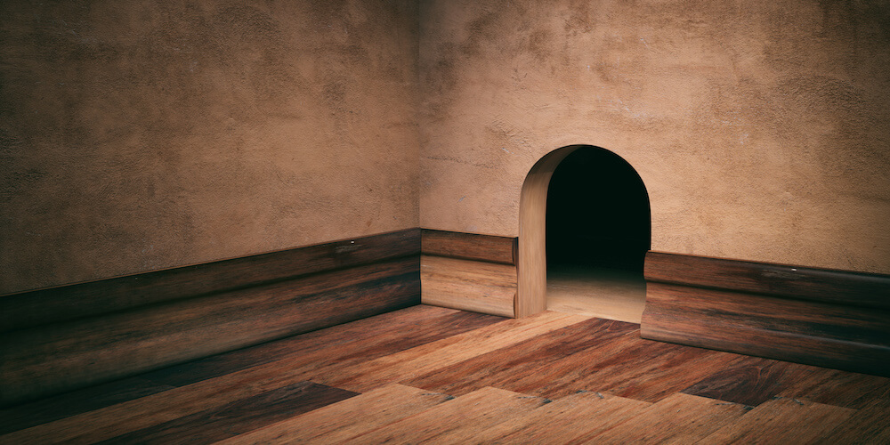 Rodents come inside your house more during the winter.