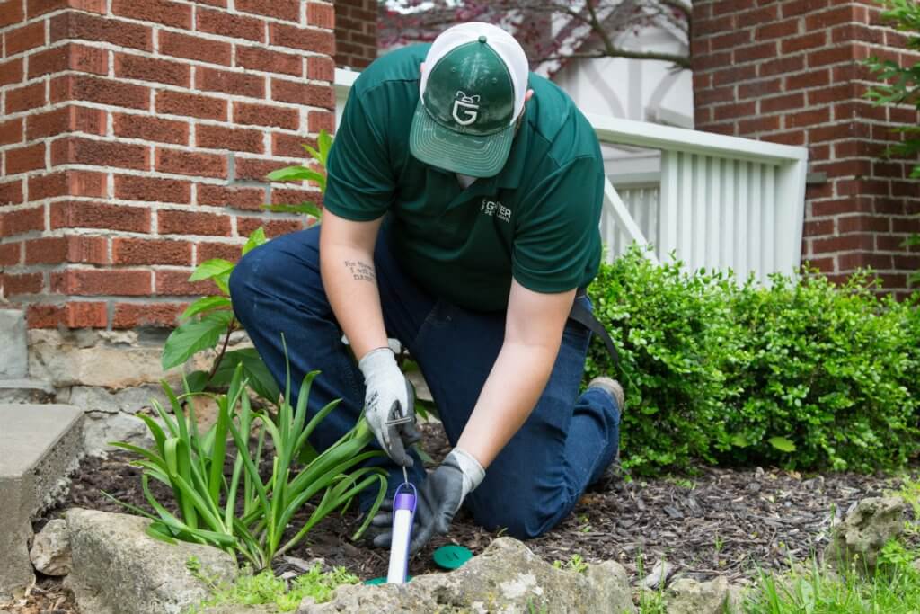 Sentricon bait station application performed by a Gunter Pest & Lawn termite expert.