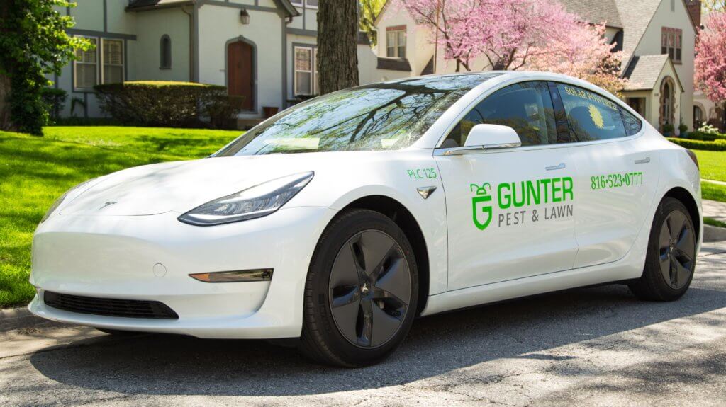 Electric Tesla Vehicle fleet powered by solar energy are helping Gunter with going green.