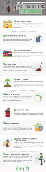 Here are the top 10 pest control tips for summer brought to you by Gunter Pest & Lawn