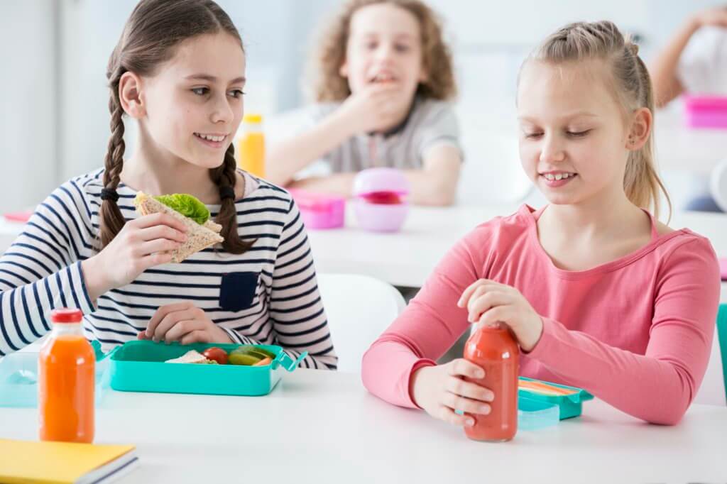School Or Childcare Facility Pest Control in Kansas City, MO.