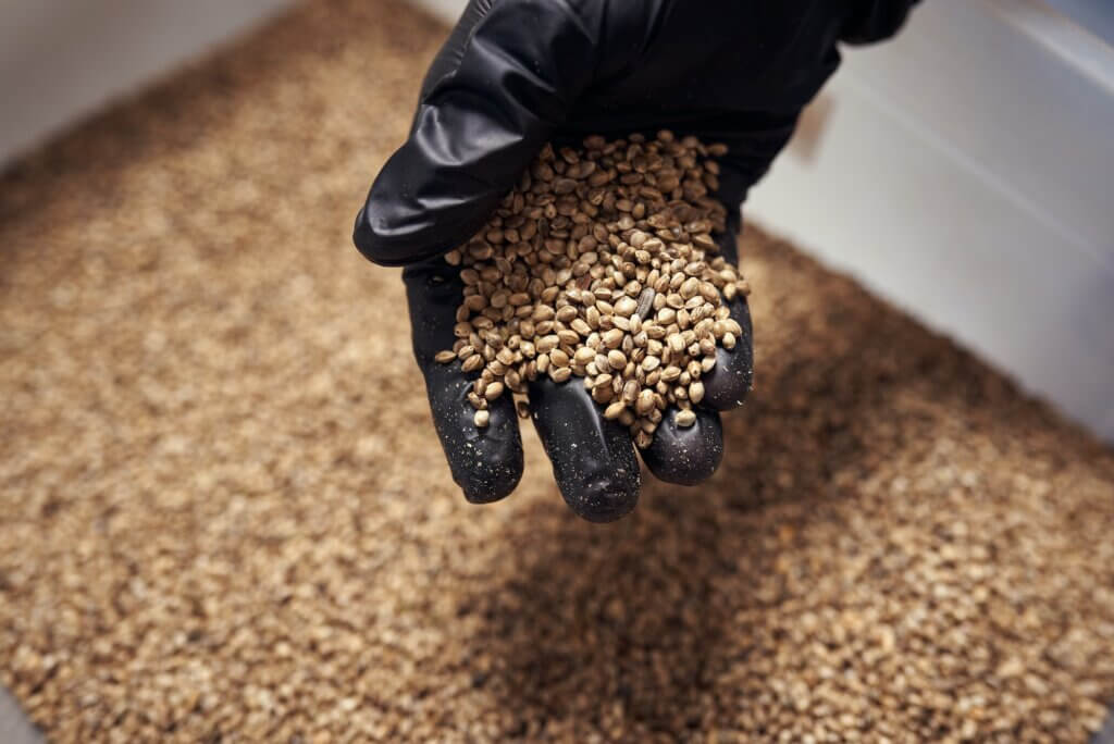 Selecting the correct seed.