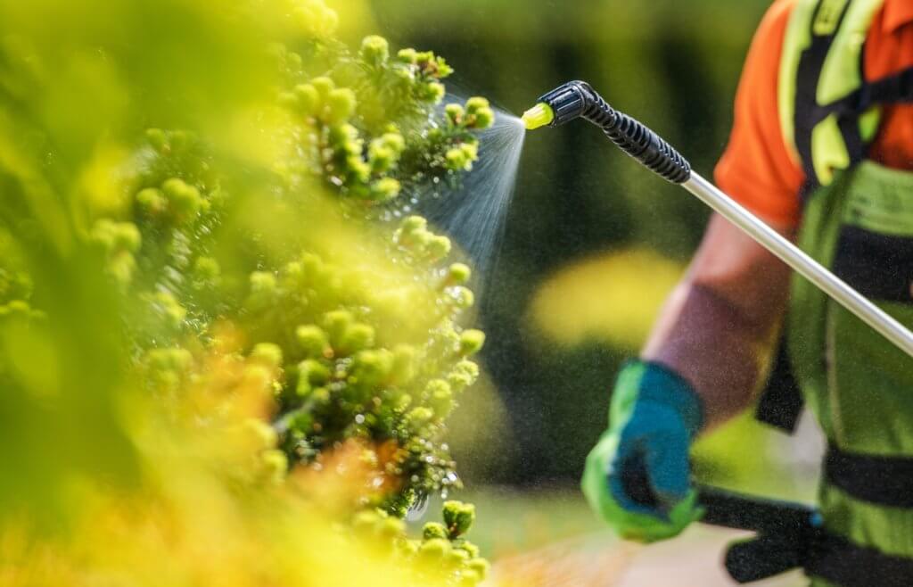 Non-Toxic insecticides being sprayed.