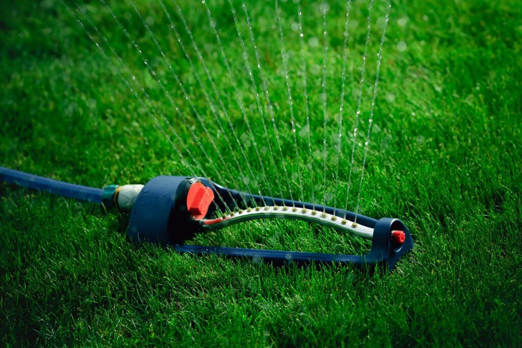 Proper watering will help keep your grass avoid pests that feed on dry grass