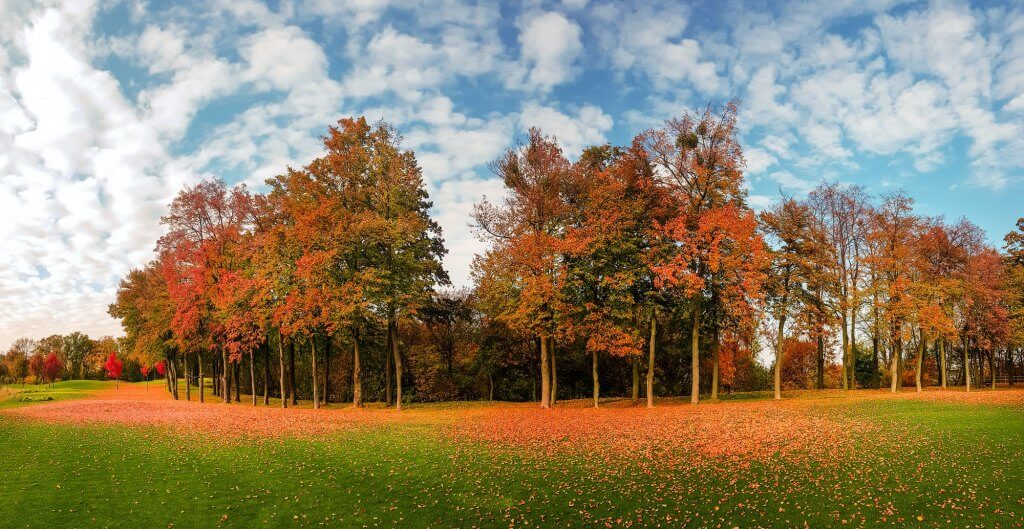 Autumn is all about winterizing your lawn.