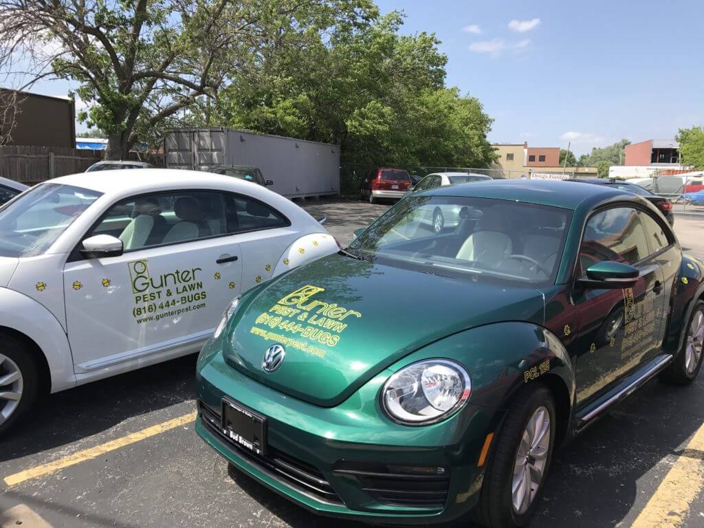 VW Beetle Car.