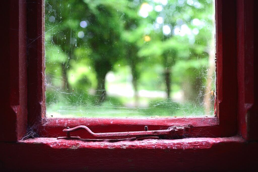 What Attracts Spiders to Your House