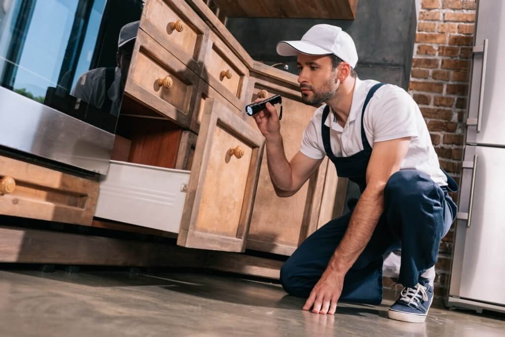 Looking for possible gnat problem areas in a house.