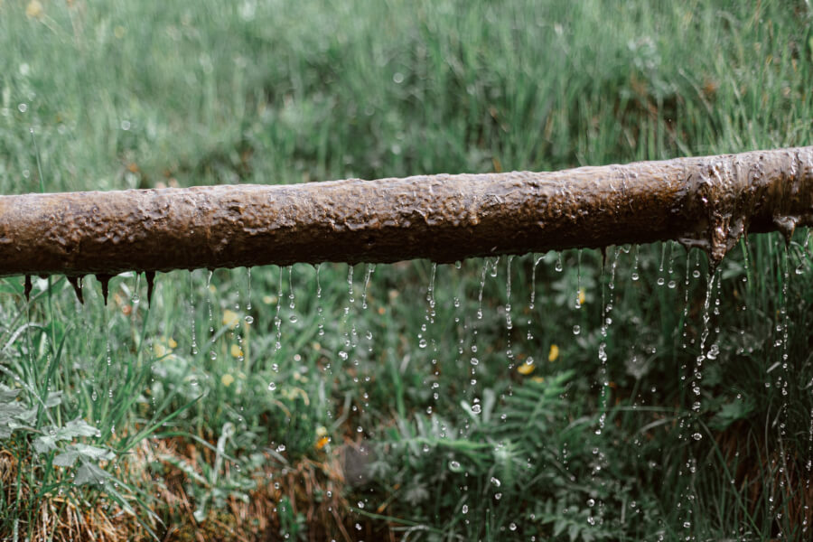 A log after heavy rain.