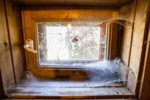 closed wooden window in a Kansas City house with cobwebs on on sunny fall day