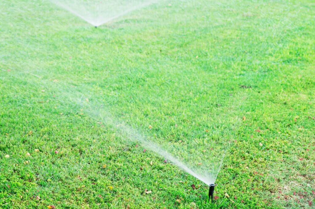 Sprinkler in garden watering the lawn. Automatic watering lawns.