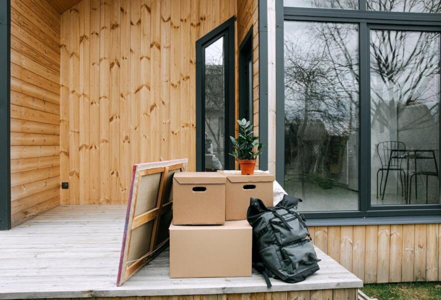 Professional Help for Clutter-Related Pest Issues